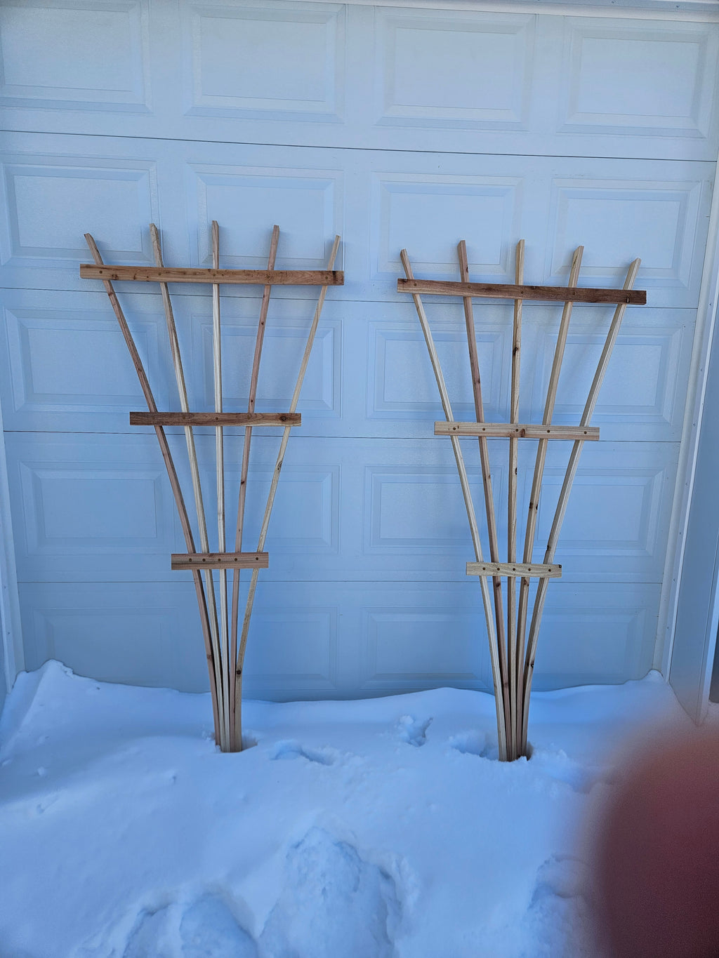 Garden Trellis