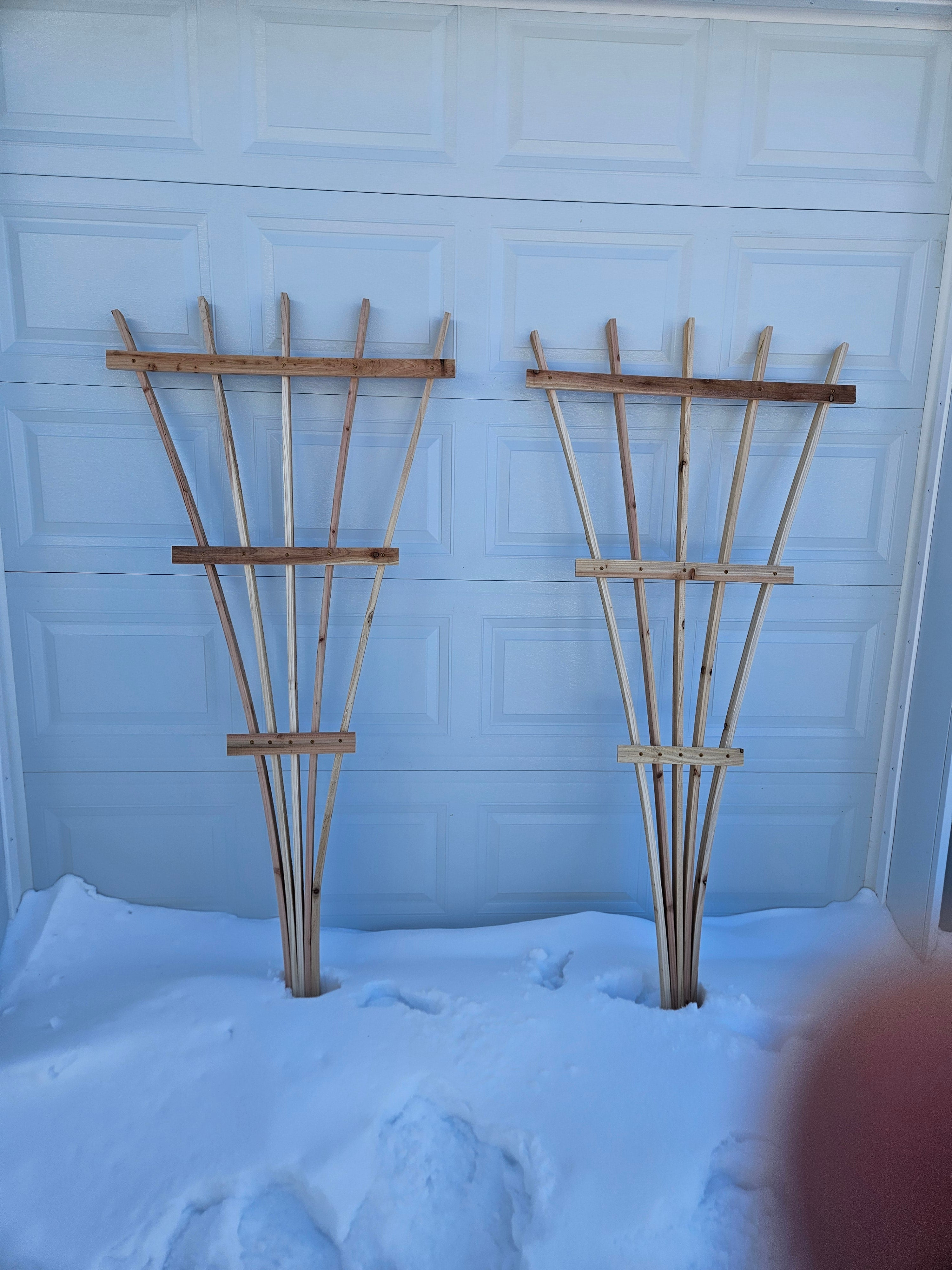 Garden Trellis