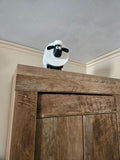 Sheep Toilet roll holder.